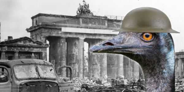 Emu War & Volkssturm Released